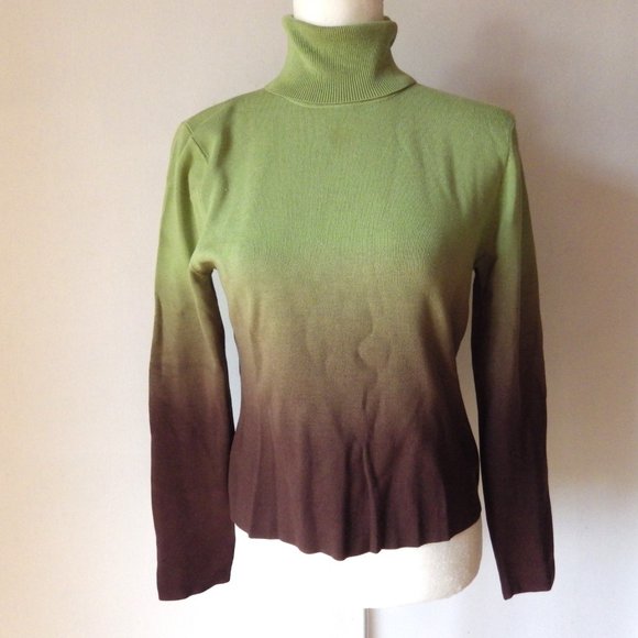 Darjoni Silk Blend Turtleneck Sweater/ Ombre Green to Brown/ Medium - Picture 3 of 9